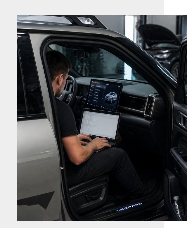 Русификация BYD Leopard 3 в Муре по цене от 20318 р. | ФастМобиль-Мум